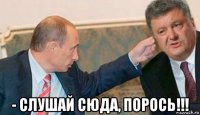  - слушай сюда, порось!!!