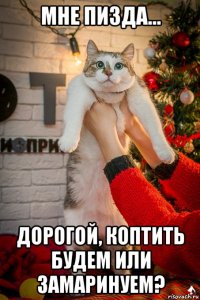 мне пизда... дорогой, коптить будем или замаринуем?