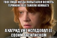 твое лицо когда попытался всунуть гермионе в ее тайную комнату а хагрид уже иследовал ее своим василиском