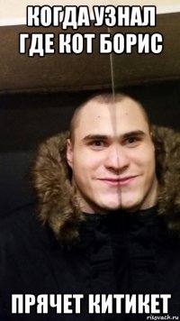 когда узнал где кот борис прячет китикет
