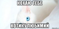 кохаю тебе котику любимий