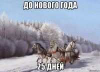 до нового года 25 дней