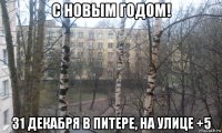 с новым годом! 31 декабря в питере, на улице +5