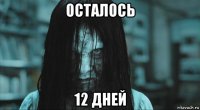 осталось 12 дней