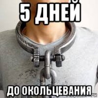 5 дней до окольцевания