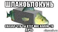 шлакоблокунь сказал что ты втёр мне какую-то дичь