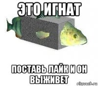 это игнат поставь лайк и он выживет