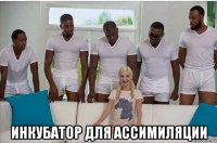  инкубатор для ассимиляции