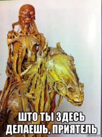  што ты здесь делаешь, приятель