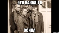 это какая-то осина