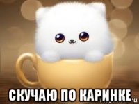  скучаю по каринке