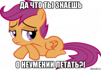 да что ты знаешь о неумении летать?(