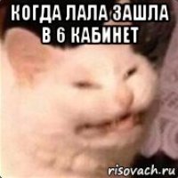 когда лала зашла в 6 кабинет 