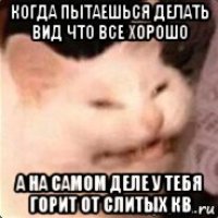 когда пытаешься делать вид что все хорошо а на самом деле у тебя горит от слитых кв