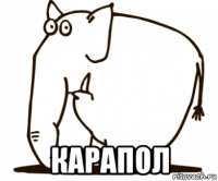  карапол