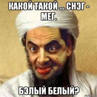 какой такой ... снэг - мег. бэлый белый?