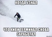 когда узнал что киви терминал снова заработал