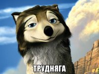  трудняга