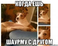 когда ешь шаурму с другом