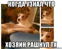 когда узнал что хозяин рашнул тх