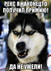 рекс я наконецто получил примию! да не ужели!