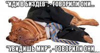 "иди в биздев", - говорили они... "увидишь мир", - говорили они