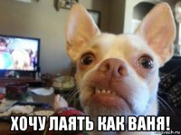 хочу лаять как ваня!