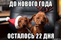 до нового года осталось 22 дня
