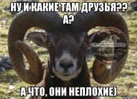 ну и какие там друзья?? а? а что, они неплохие)