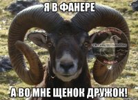 я в фанере а во мне щенок дружок!
