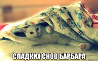  сладких снов барбара