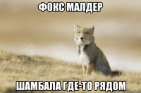 фокс малдер шамбала где-то рядом