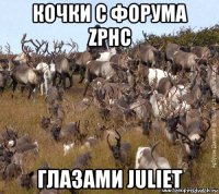 кочки с форума zphc глазами juliet