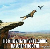  не индульгируйте,даже на алертности!