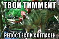 твой тиммейт репост если согласен