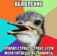 абявление прапал страус. страус, если меня читаешь, астанавись
