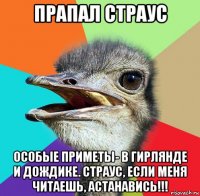 прапал страус особые приметы- в гирлянде и дождике. страус, если меня читаешь, астанавись!!!