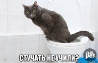  стучать не учили?