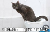  чо смотришь, бумагу тащи