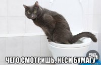  чего смотришь, неси бумагу