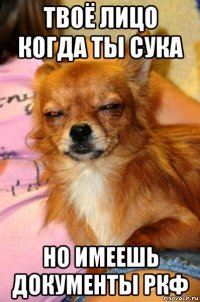 твоё лицо когда ты сука но имеешь документы ркф