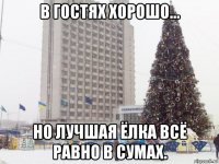 в гостях хорошо... но лучшая ёлка всё равно в сумах.