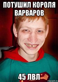 потушил короля варваров 45 лвл