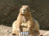  bode