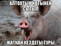 алтохтын котынен сыгып жаткан кездегы туры