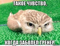 такое чувство, когда заболел тренер.
