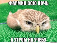 фармил всю ночь а утром на учебу