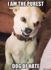i am the purest dog of hate
