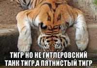  тигр но не гитлеровский танк тигр,а пятнистый тигр