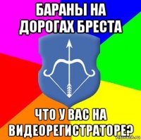 бараны на дорогах бреста что у вас на видеорегистраторе?